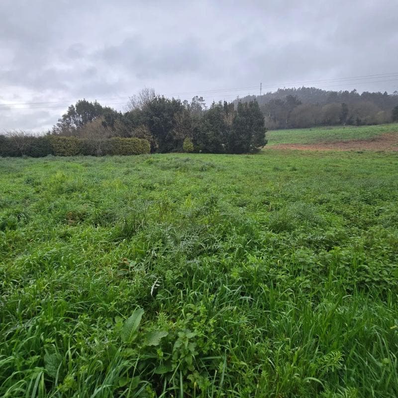 Terreno en venta en Laracha, A Coruña photo 2