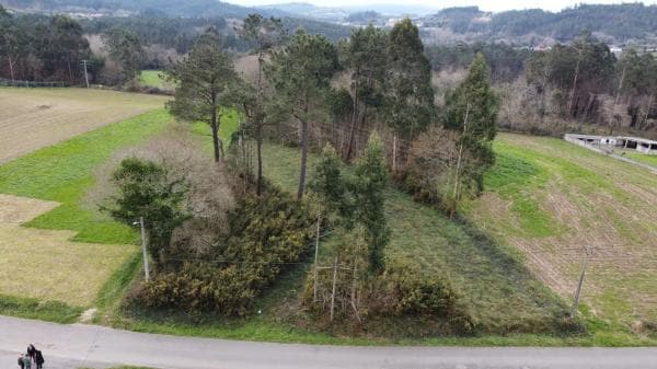 Terreno en a ferrulleira photo 4