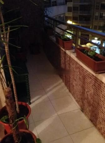 Piso en venta en Barrio Pont Nou-Corazón de Jesús, Elche / Elx thumbnail 2