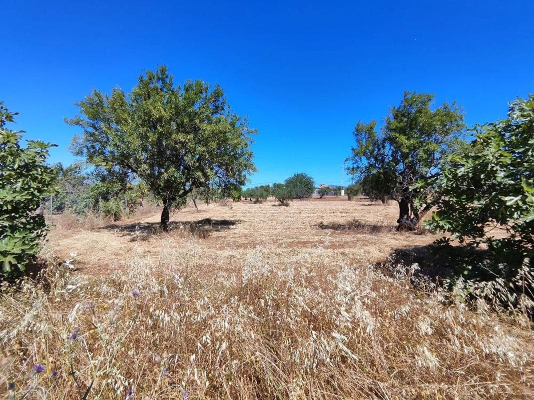 Terreno en venta en Alhaurín de la Torre, Malaga photo 5
