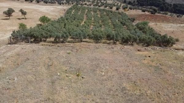Terreno en parque eolico puerto malaga, 21 thumbnail 2