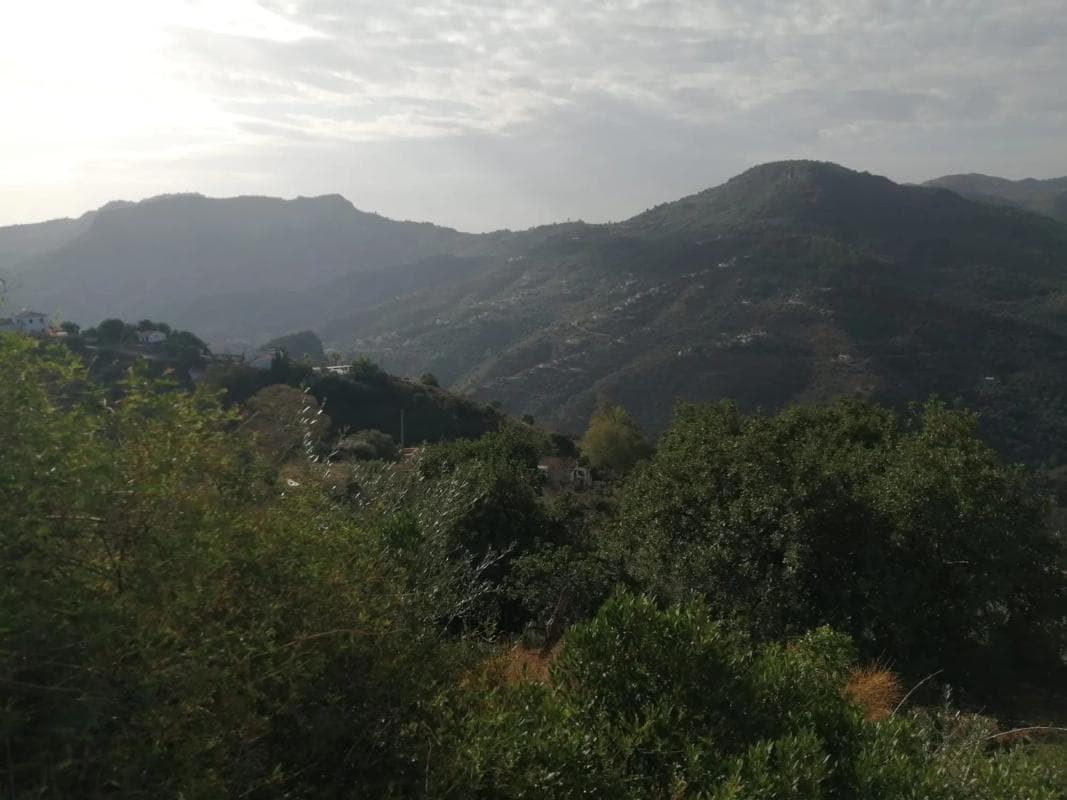 Terreno en venta en Colmenar, Malaga photo 3
