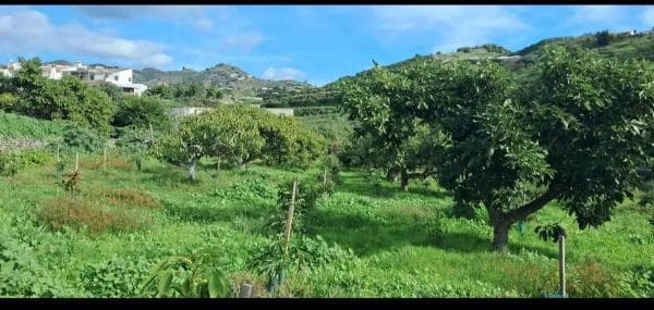 Terreno en avenida de Karat, km 0 thumbnail 1