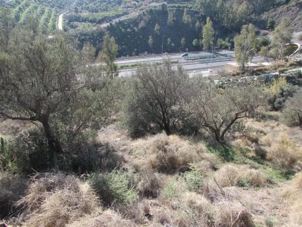 Terreno en Barranco El Puerto s/n thumbnail 2