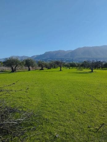 Terreno en camino quilin, 50 photo 1