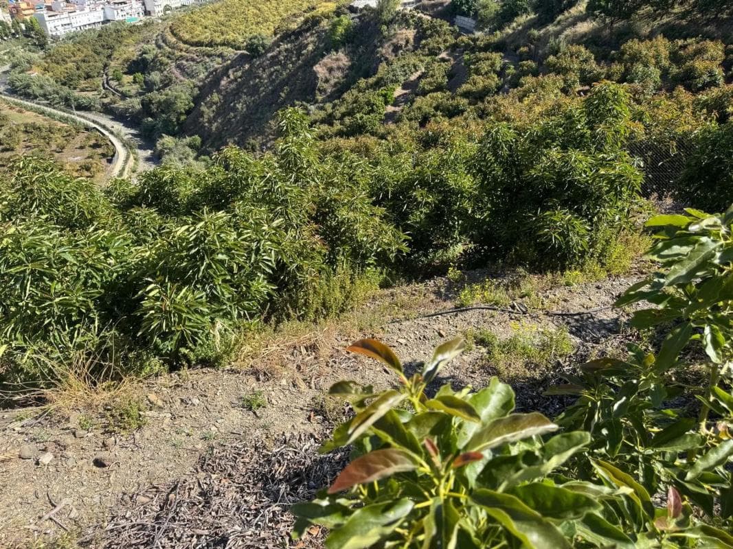 Terreno en venta en Algarrobo, Malaga photo 3