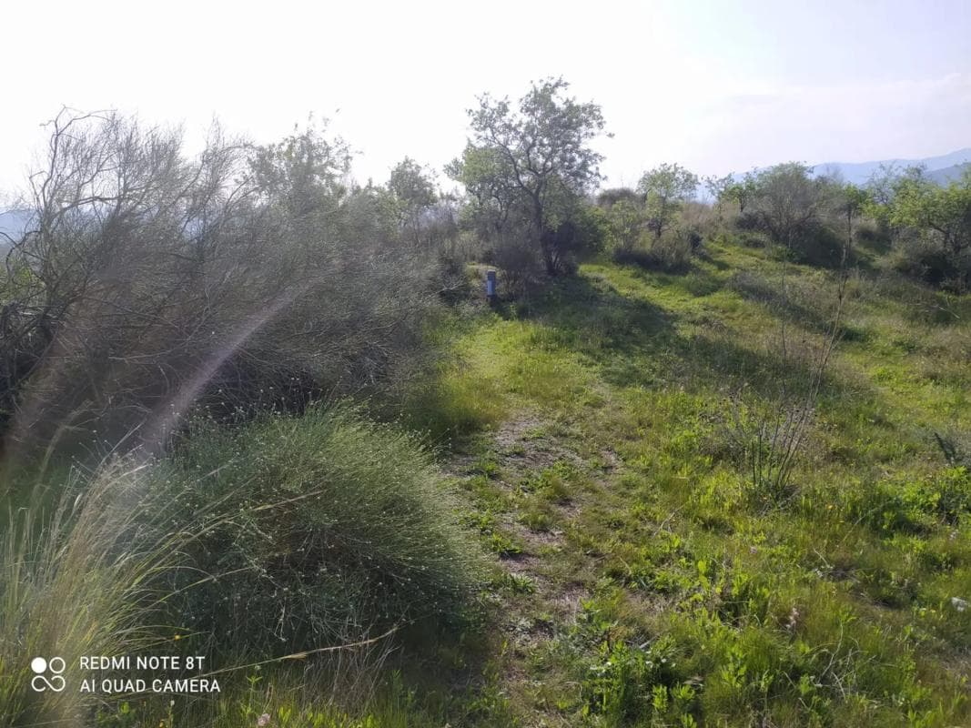 Terreno en venta en Cártama, Malaga photo 2