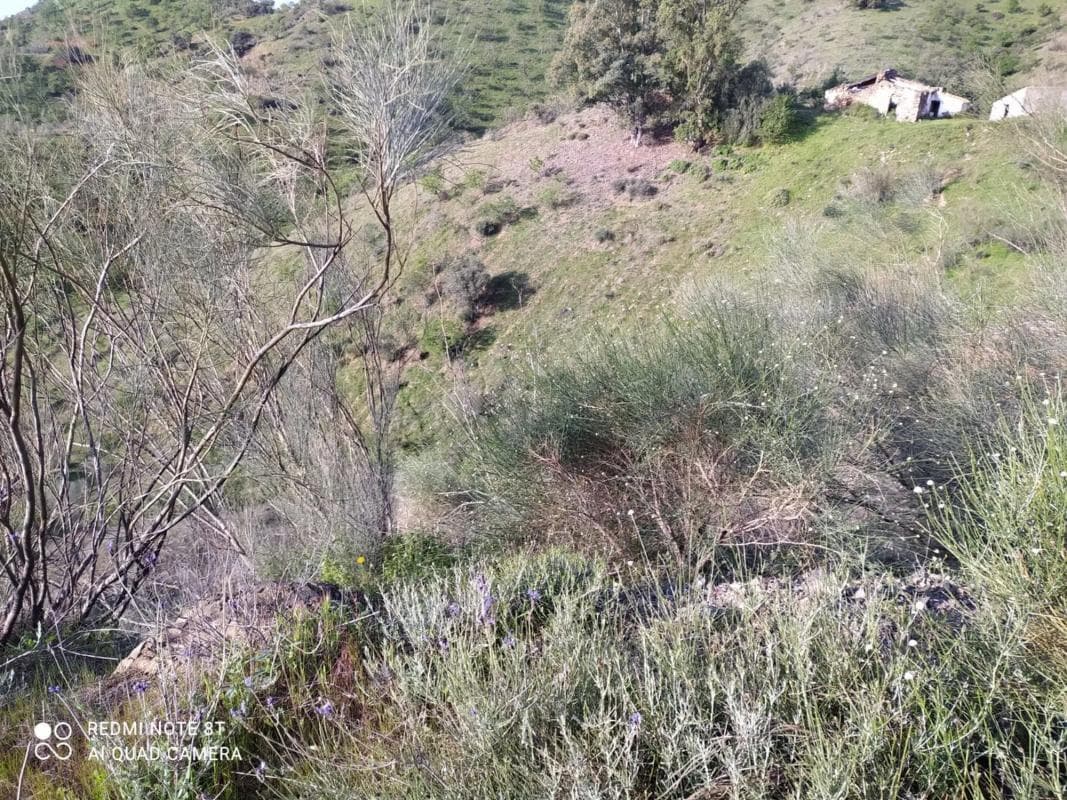 Terreno en venta en Cártama, Malaga photo 3
