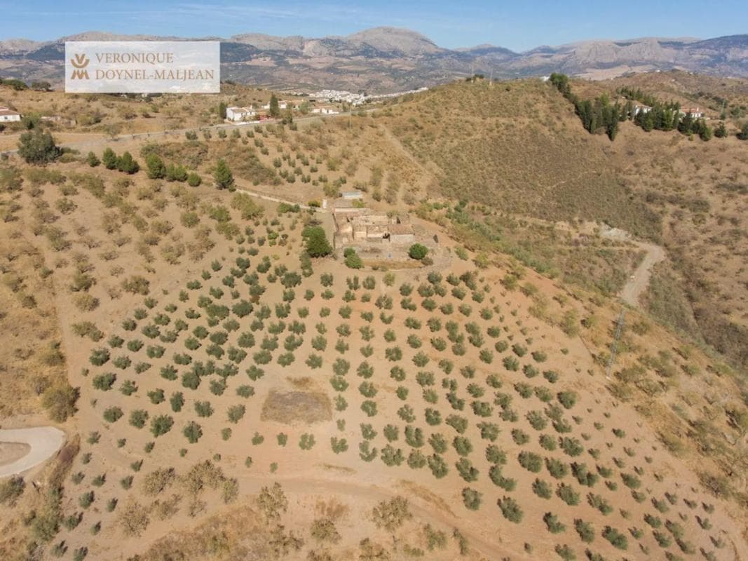 Terreno en venta en Colmenar, Malaga photo 5