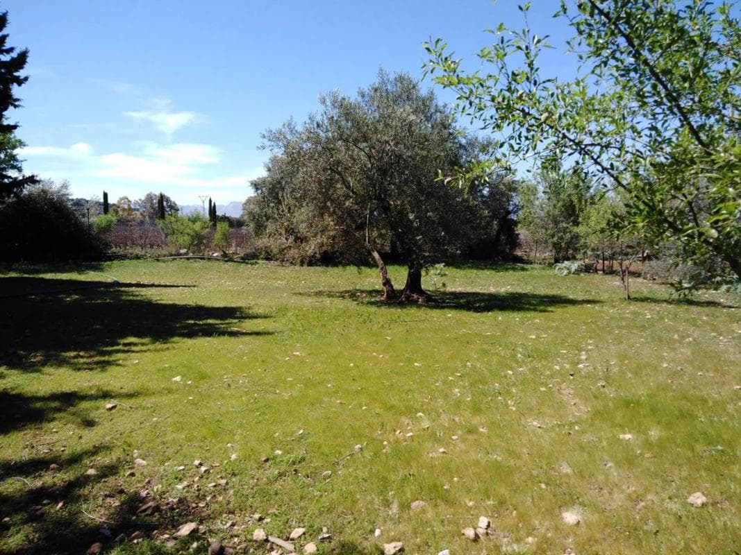 Terreno en venta en Ronda, Malaga photo 4