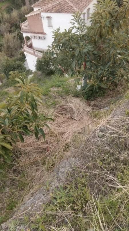 Terreno en venta en Canillas de Aceituno, Malaga photo 2