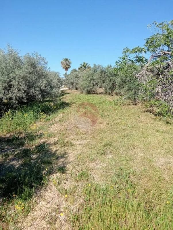 Terreno en venta en Alhaurín de la Torre, Malaga photo 2