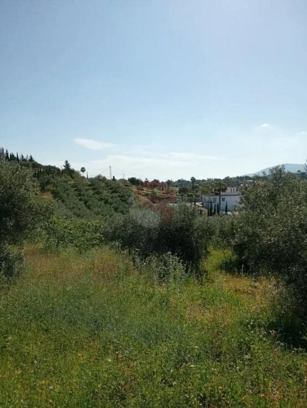 Terreno en venta en Alhaurín de la Torre, Malaga photo 3