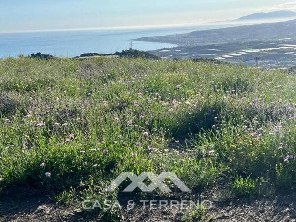 Terreno en Algarrobo photo 4
