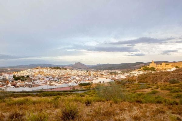 Terreno en Zona de la Vega photo 1