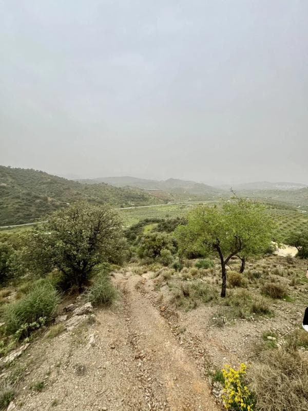 Terreno en venta en Coin, Malaga photo 3
