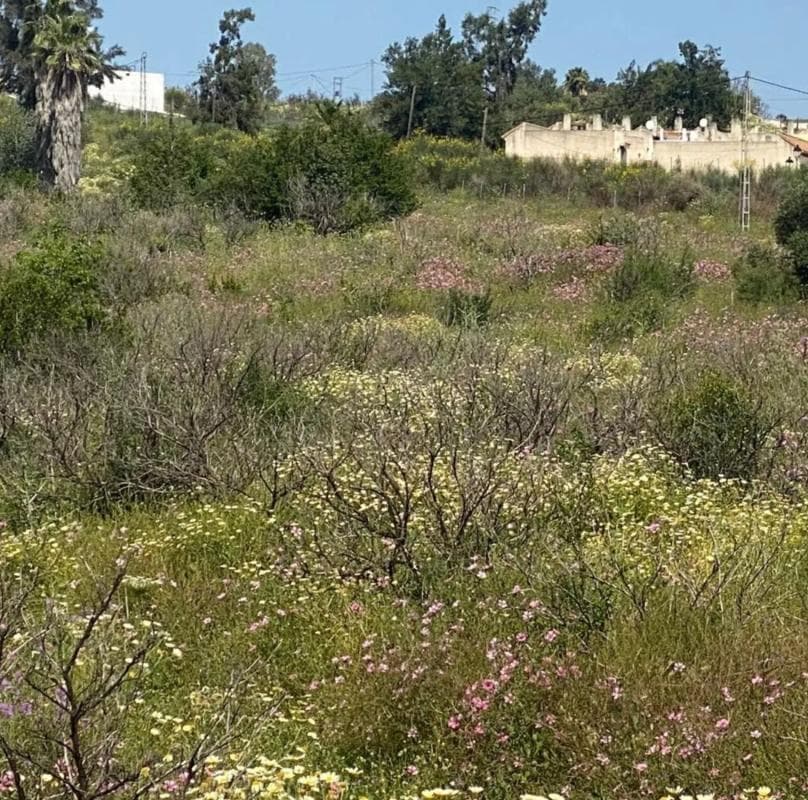 Terreno en venta en Pizarra, Malaga photo 3