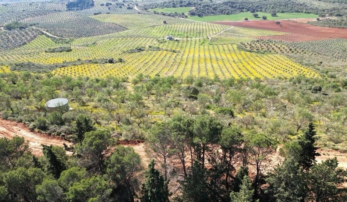 Terreno en venta en Archidona, Malaga photo 3