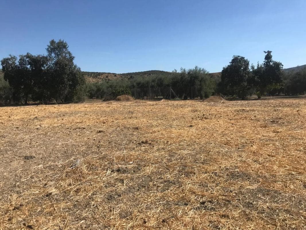 Terreno en venta en Cuevas Bajas, Malaga photo 3