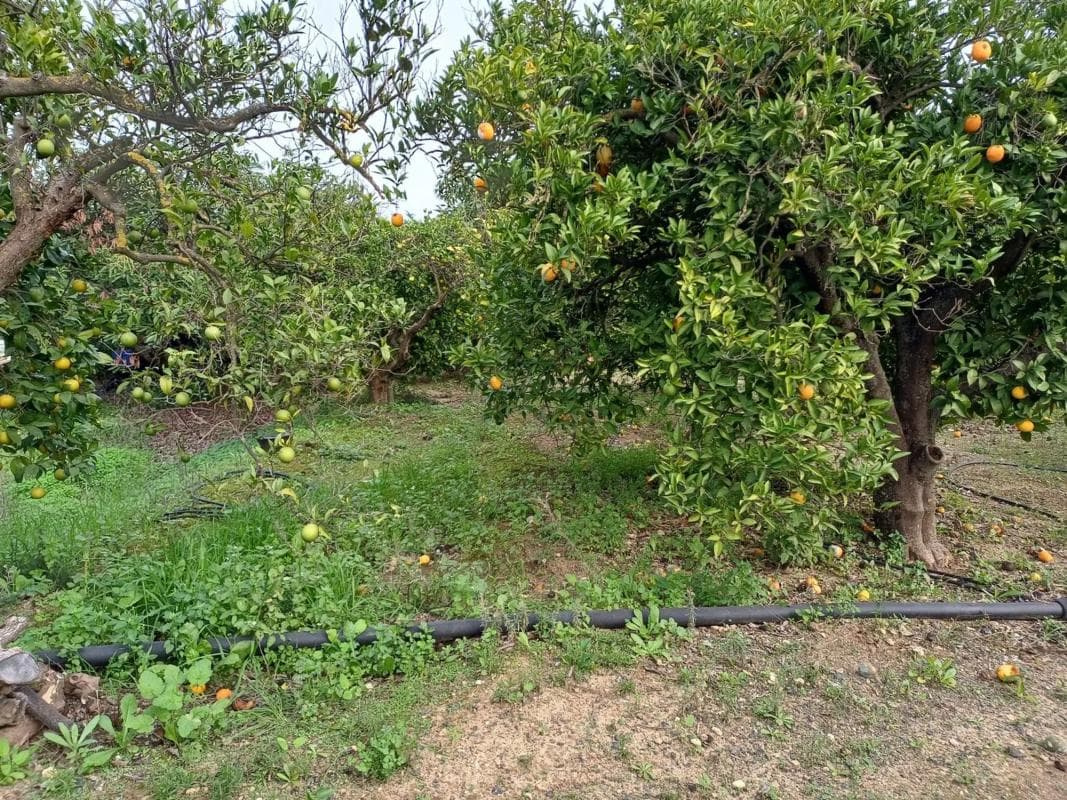 Terreno en venta en Coin, Malaga photo 5