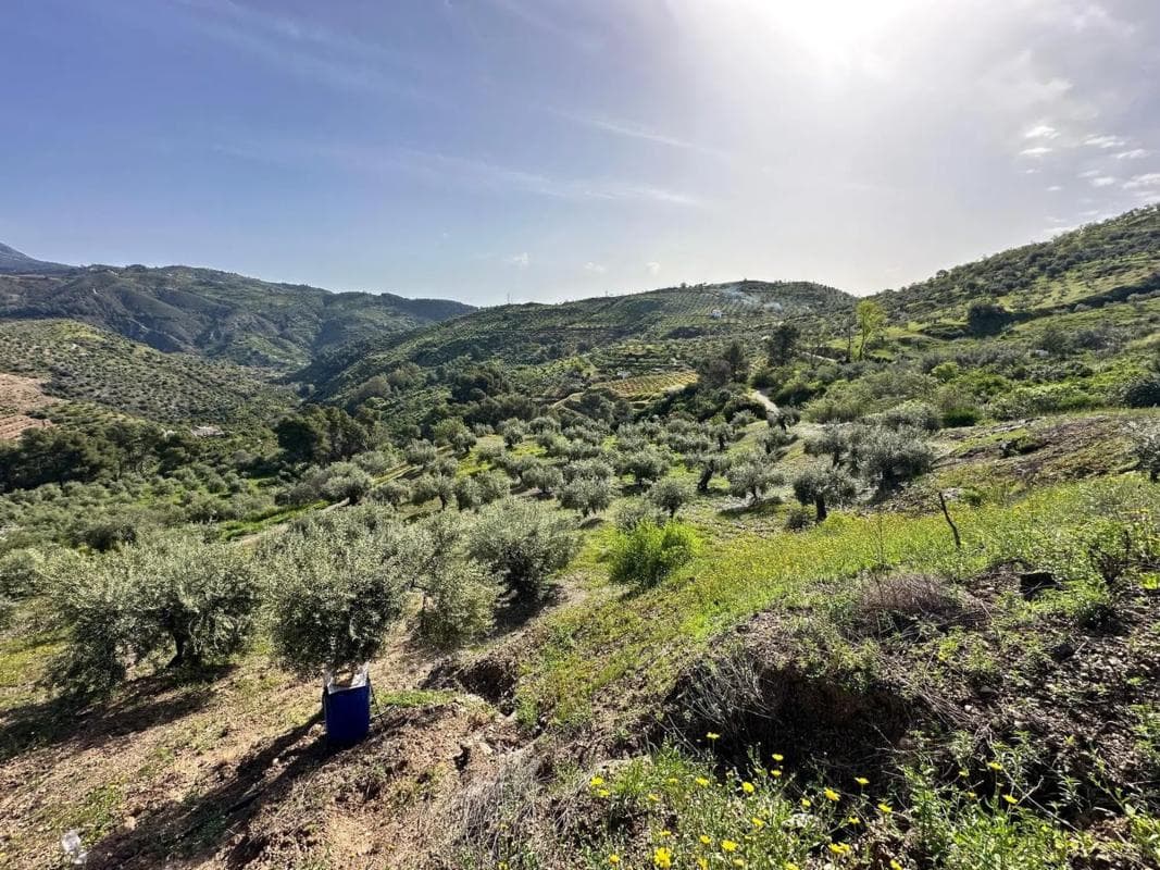 Terreno en venta en Tolox, Malaga photo 3
