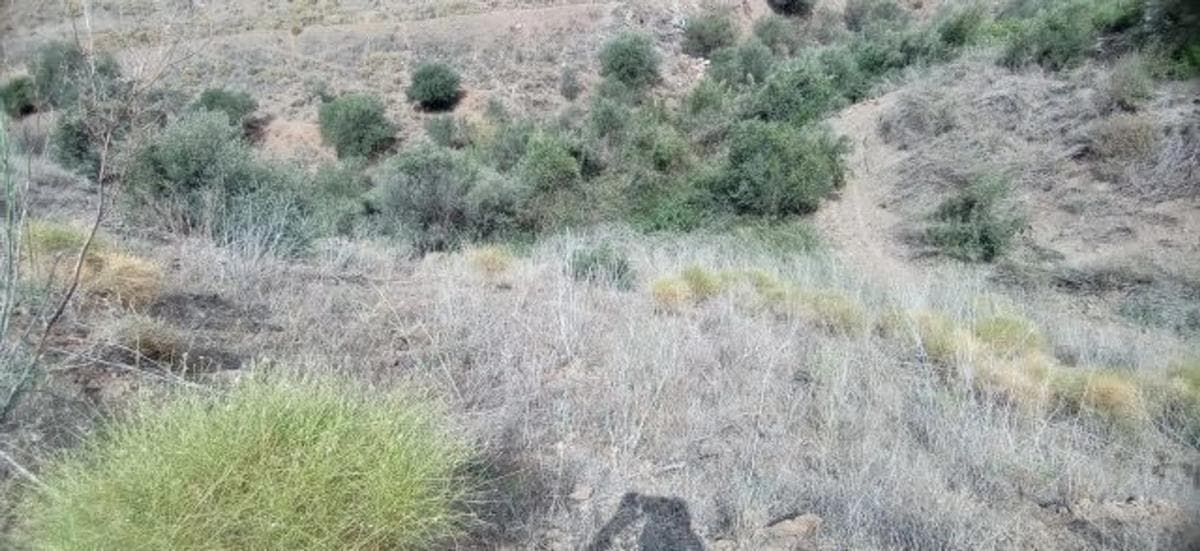 Terreno en venta en Torrox, Malaga photo 2