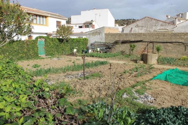 Terreno en calle Andalucía photo 1