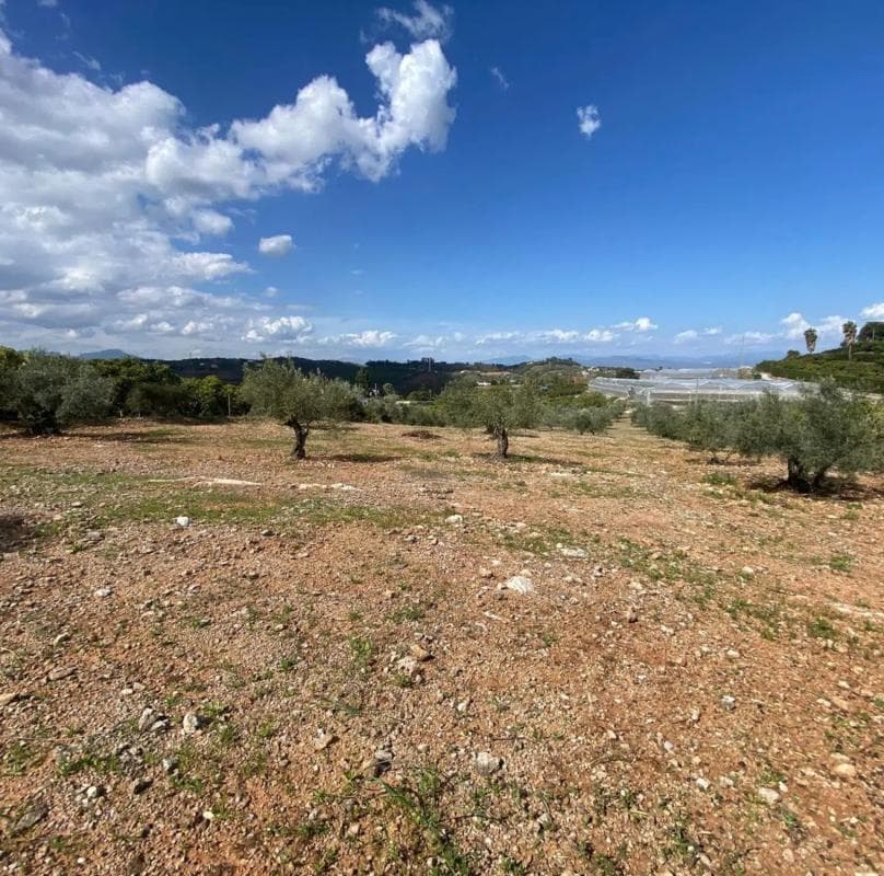 Terreno en venta en Alhaurín el Grande, Malaga photo 2