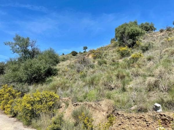 Terreno en calle Artesanía, 163 thumbnail 1