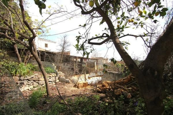 Terreno en calle Coin, 65 photo 4