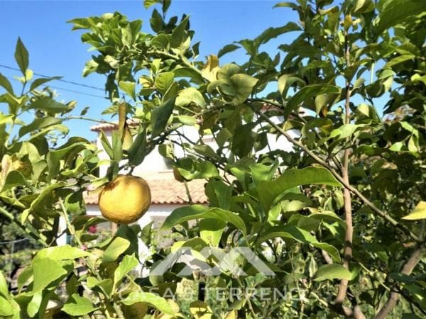 Terreno en Canillas de Aceituno thumbnail 2