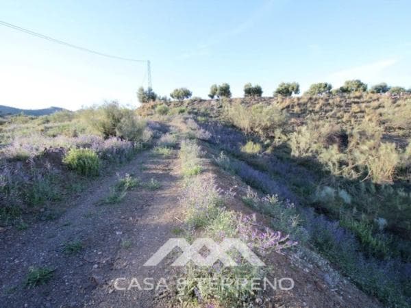 Terreno en Benajarafe photo 1
