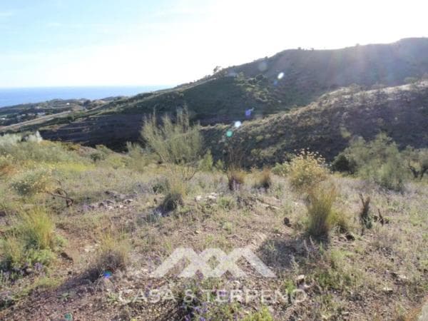 Terreno en Benajarafe photo 4