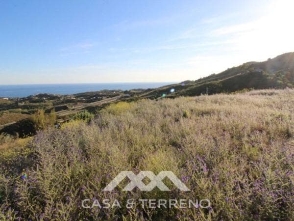Terreno en Benajarafe photo 3