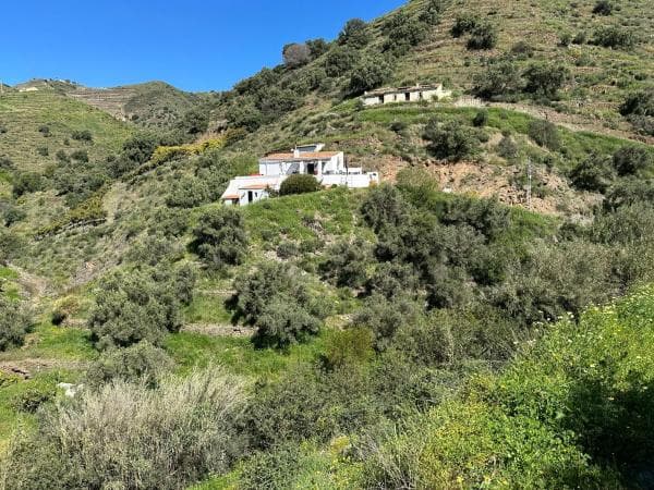 Terreno en el manzano photo 3