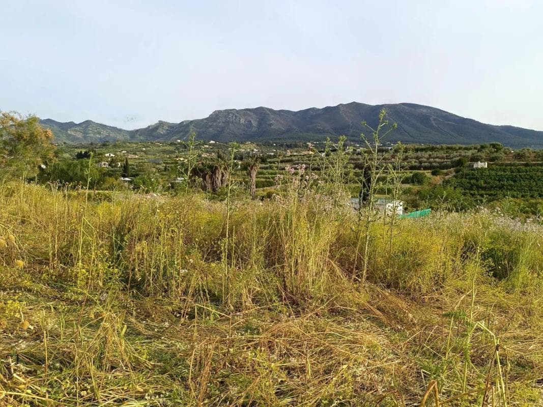 Terreno en venta en Alhaurín el Grande, Malaga photo 4