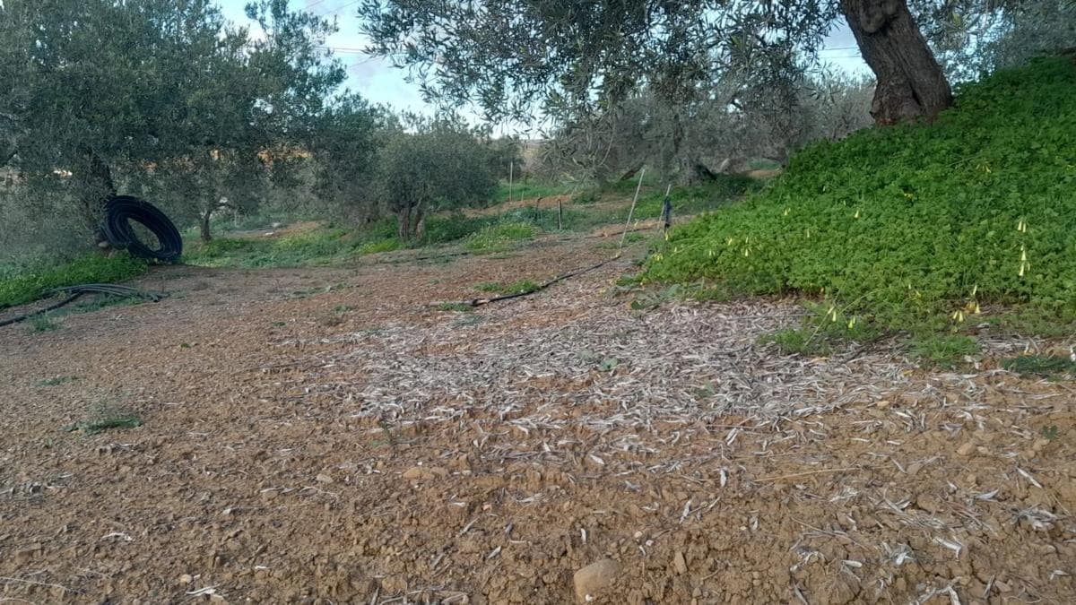 Terreno en venta en Alora, Malaga photo 3
