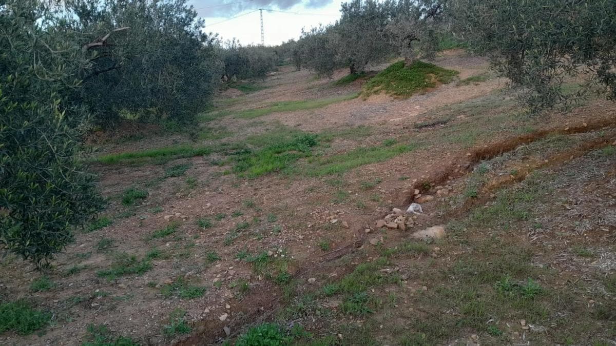 Terreno en venta en Alora, Malaga photo 4