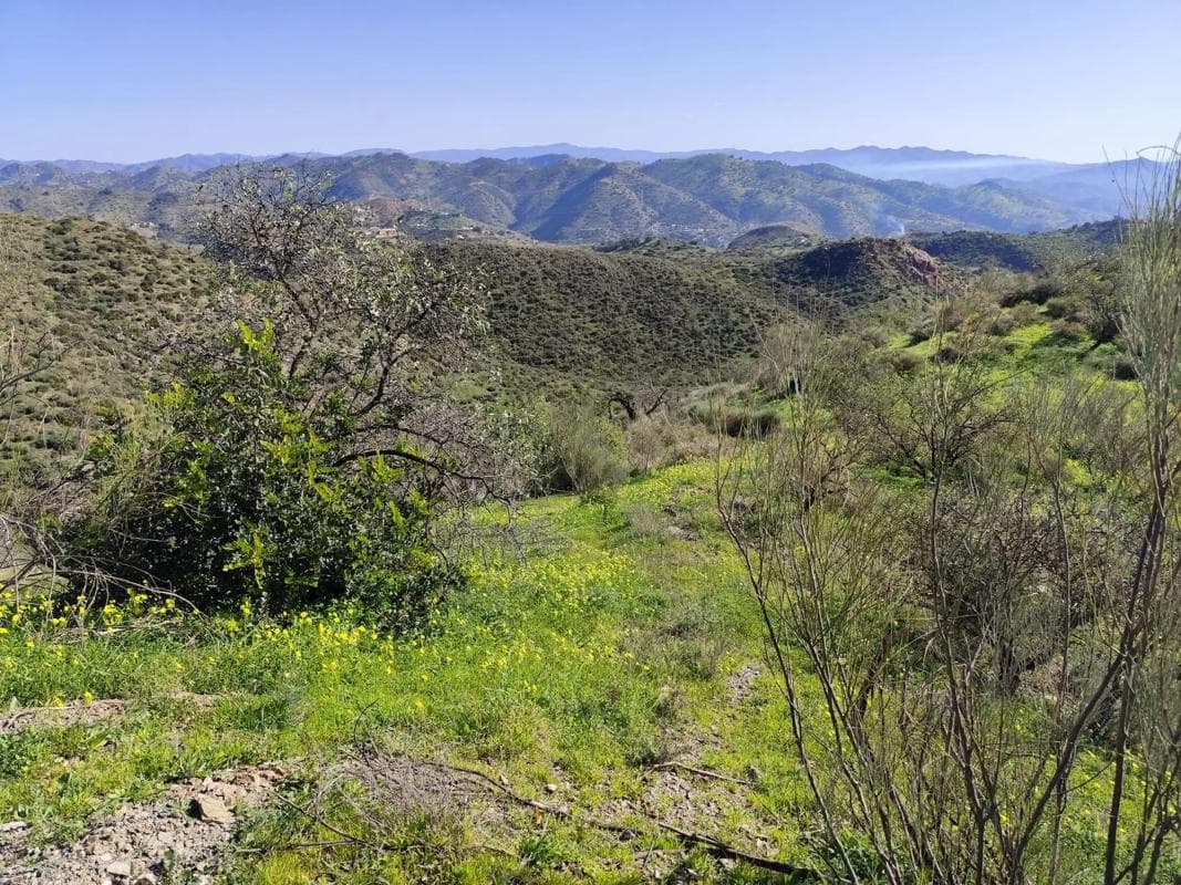 Terreno en venta en Cártama, Malaga photo 2