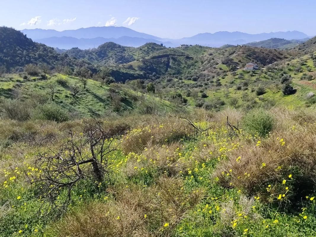 Terreno en venta en Cártama, Malaga photo 3