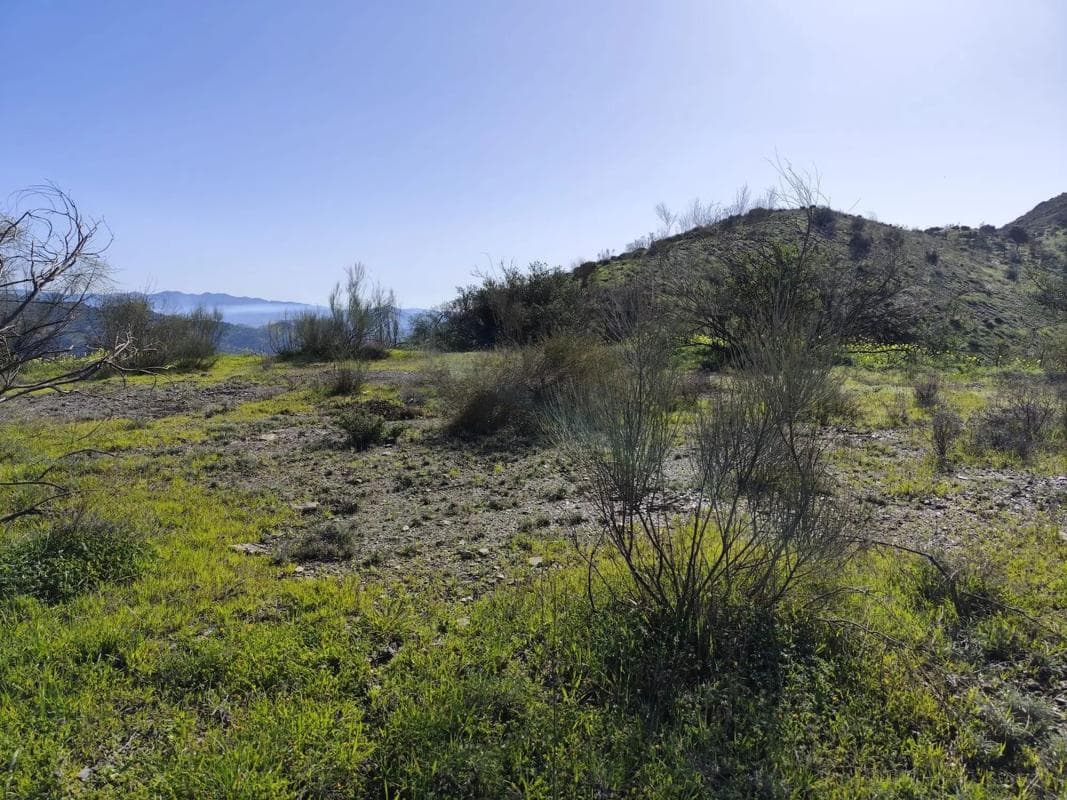 Terreno en venta en Cártama, Malaga photo 5