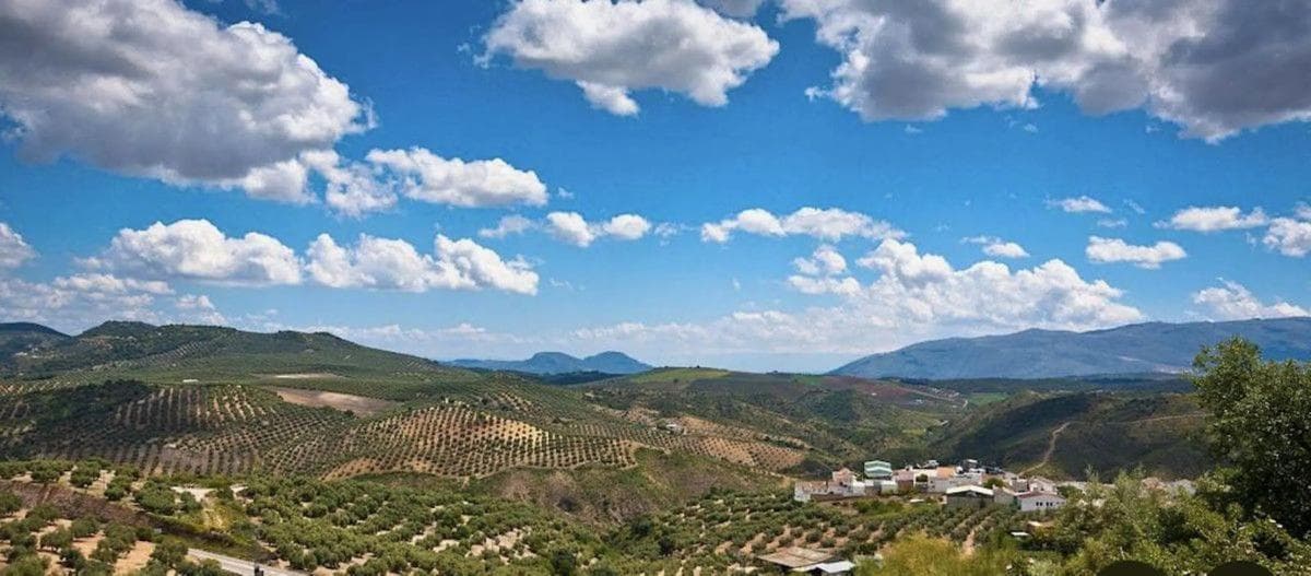 Terreno en venta en Villanueva de Algaidas, Malaga photo 3