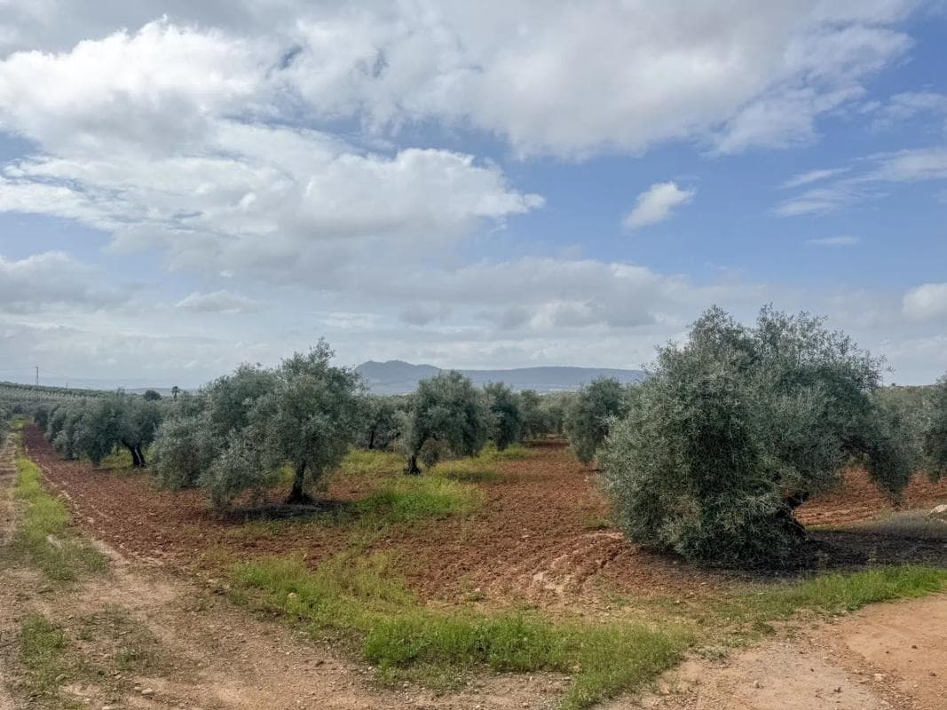 Terreno en venta en Mollina, Malaga photo 4