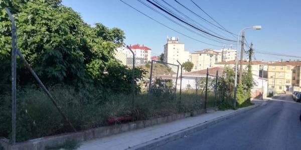 Terreno en Barrio San Alberto - La Alcubilla - Florisol photo 1