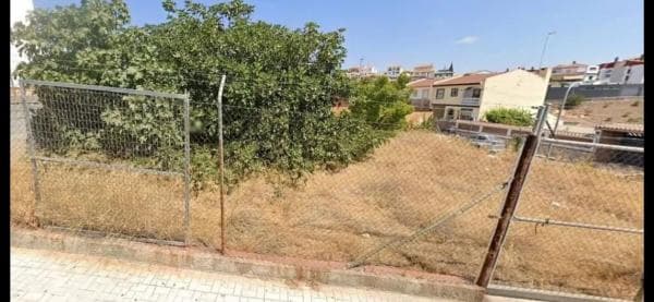 Terreno en Barrio San Alberto - La Alcubilla - Florisol thumbnail 2