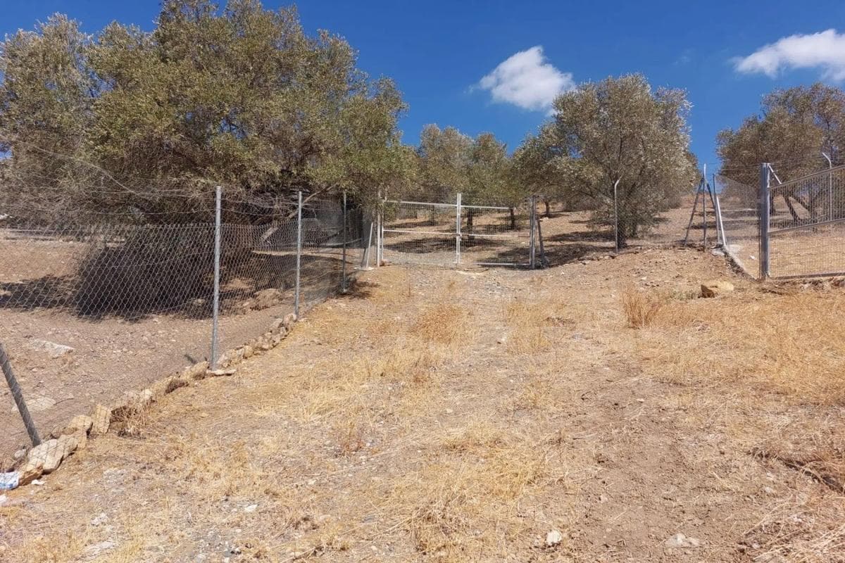 Terreno en venta en Alora, Malaga photo 4