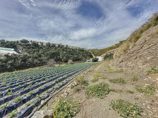 Terreno en La zarzaparrilla photo 2