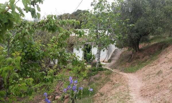 Terreno en Rosas del Pozuelo, km 20 thumbnail 2