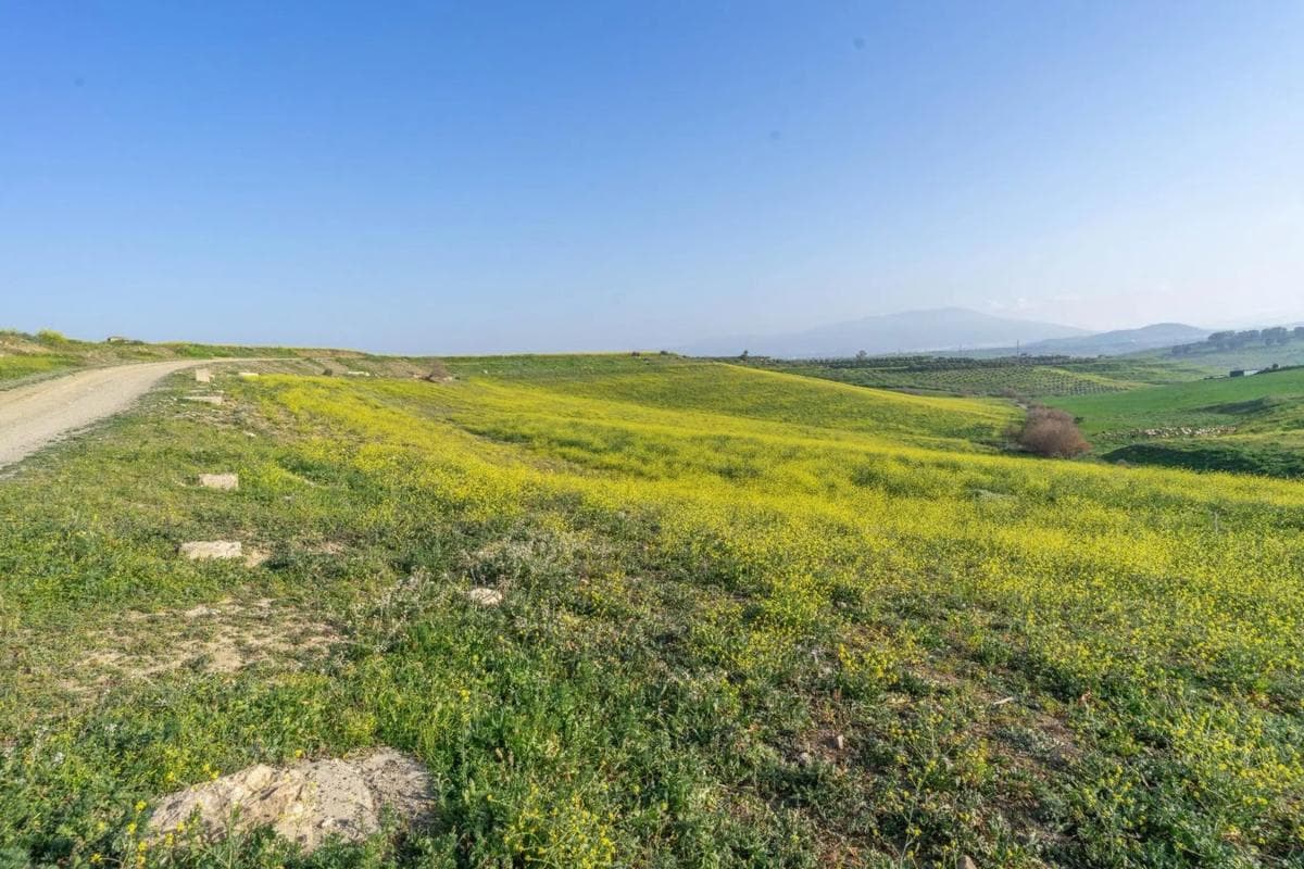 Terreno en venta en Cártama, Malaga photo 2