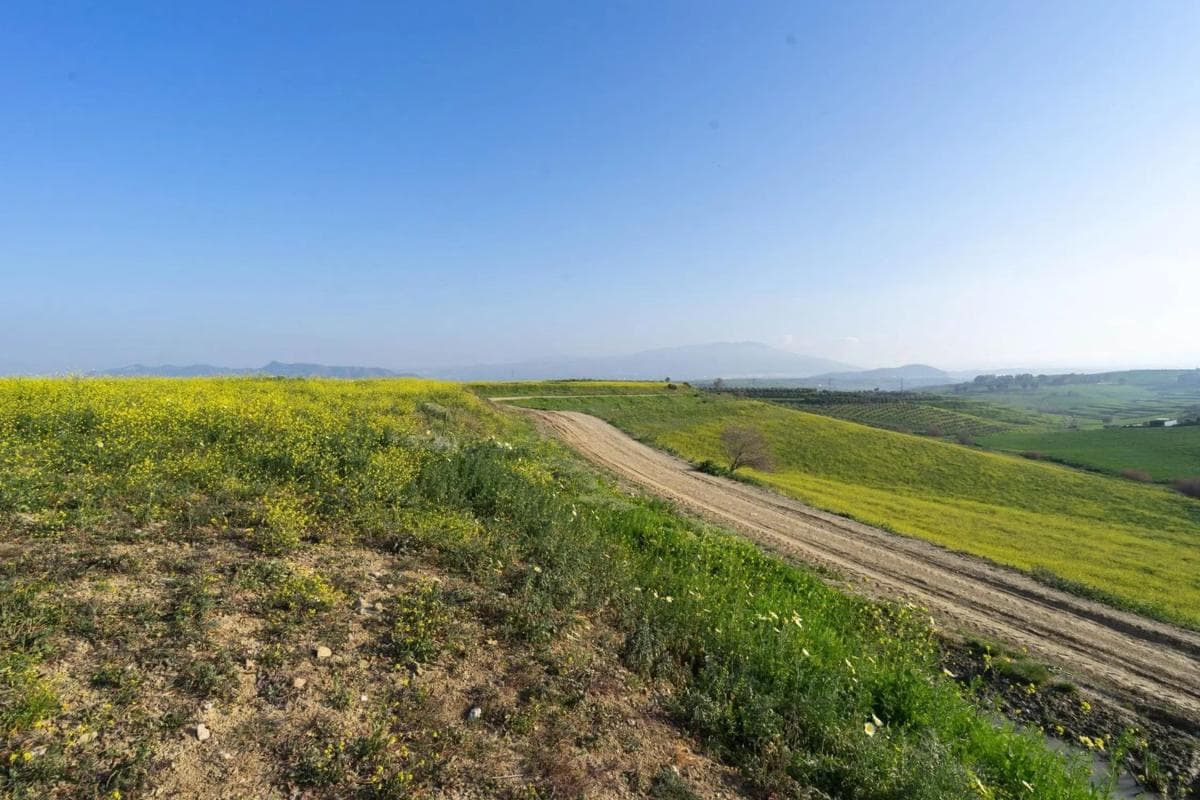 Terreno en venta en Cártama, Malaga photo 3